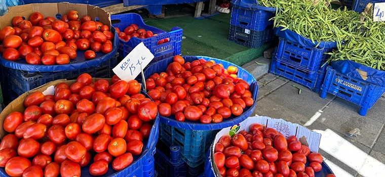 SALÇALIK DOMATESLER 15 LİRADAN SATIŞA SUNULDU