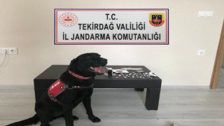 KANEPEYE SAKLI UYUŞTURUCUYU ‘LİMİT’ BULDU