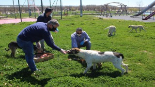 SOKAK HAYVANLARI UNUTULMADI