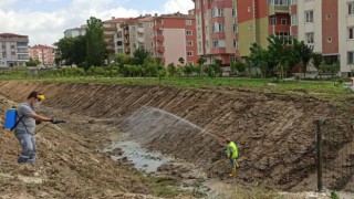 ALBAYRAK: “HALK SAĞLIĞI İÇİN TEHDİT OLUŞTURAN ZARARLILARIN ÖNÜNE GEÇİYORUZ”