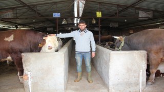 KURBANLIKLAR ALICILARINI BEKLİYOR