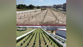 ÇOSB’NİN YEŞİL ALANLARI GÖZ DOLDURUYOR