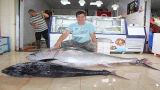 DEV ORKİNOS BALIĞI GÖRENLERİ ŞAŞKINA ÇEVİRDİ