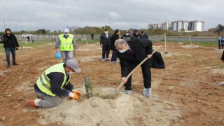 350 FİDAN TOPRAKLA BULUŞTU