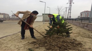 FİDANLAR TOPRAKLA BULUŞTU