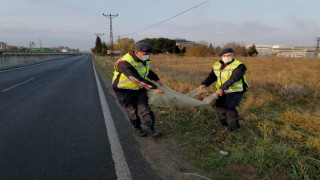 YARALI KÖPEĞE JANDARMA EKİPLERİ SAHİP ÇIKTI