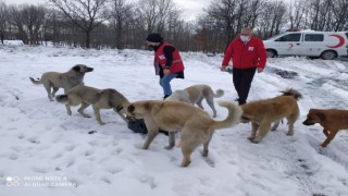 CAN DOSTLARIMIZI UNUTMADILAR