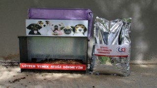 SOKAK HAYVANLARI UNUTULMUYOR