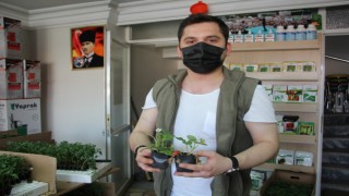 ZİRAAT ODASI KISITLAMA BOYUNCA AÇIK