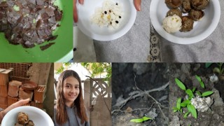 BAŞAKŞEHİR OKULLARI’NIN ÇEVRE DOSTU PROJESİ YEŞİL BAYRAK ALDI