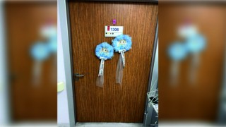 HOŞGELDİN EDİZ VE BUĞRA