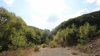 PİKNİK YAPMAK VE ATEŞ YAKMAK YASAKLANDI