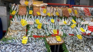 CENK DİŞ, “BU YIL VATANDAŞLARIMIZ BOL BALIK YİYECEK