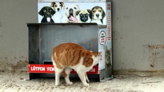 "SEVİMLİ DOSTLARIMIZI UNUTMUYORUZ"