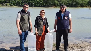 7 BİN ADET YAVRU SAZAN BALIĞI GÖLETLERE BIRAKILDI