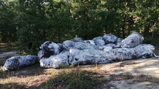 ÇÖPLERİ ORMANA ATTILAR