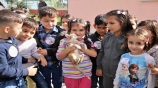 ÇOCUKLARDAN, SEVİMLİ DOSTLARIMIZA ZİYARET