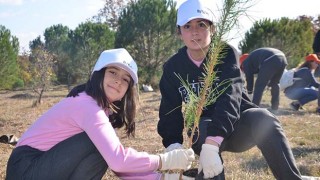 BSH’DEN 20 YILDA 21 BİNİ AŞKIN AĞAÇ