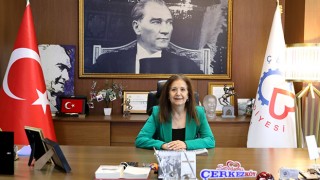 BAŞKANLIĞA GÜLTEN ALTAY VEKALET EDİYOR