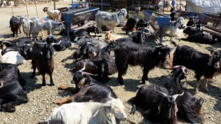 YASAĞA UYMAYANLAR HAKKINDA İŞLEM YAPILACAK