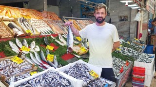 HAMSİ 100 LİRADAN SATIŞA SUNULDU