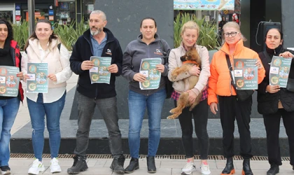 HAYVANSEVERLERDEN KEDİYİ DÖVEREK ÖLDÜREN ŞAHSIN SERBEST BIRAKILMASINA TEPKİ