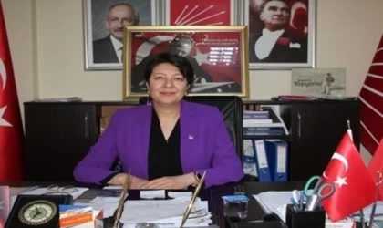 “ONLAR GERİ DÖNMEYİ HİÇ DÜŞÜNMEDİLER”