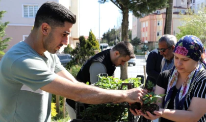 MEZARLIKLARDA ÜCRETSİZ ÇİÇEK DAĞITILDI