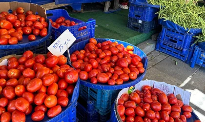 SALÇALIK DOMATESLER 15 LİRADAN SATIŞA SUNULDU