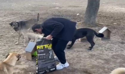 KOCAMEŞE’DE CAN DOSTLARIMIZ İÇİN ANLAMLI ETKİNLİK GERÇEKLEŞTİRİLDİ