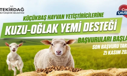 BÜYÜKŞEHİR’DEN KÜÇÜKBAŞ YETİŞTİRİCİLERİNE YEM DESTEĞİ