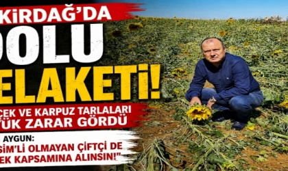 DOLU FELAKETİ ÜRETİCİYİ VURDU