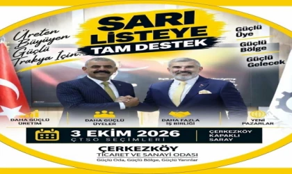 Aydın Özrek, Sarı Liste için çalışmalarına hız verdi