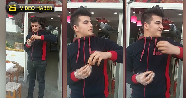 KARGAYI ELLERİYLE BESLİYOR