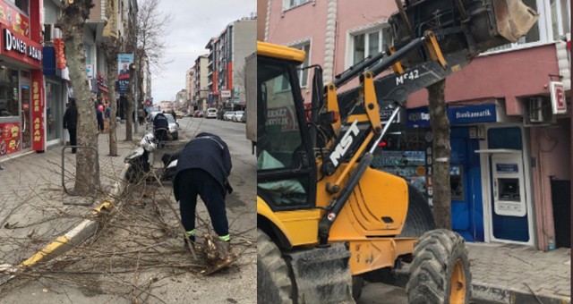 KAPAKLI’DA AĞAÇ BUDAMA VE TEMİZLEME ÇALIŞMALARI BAŞLATILDI