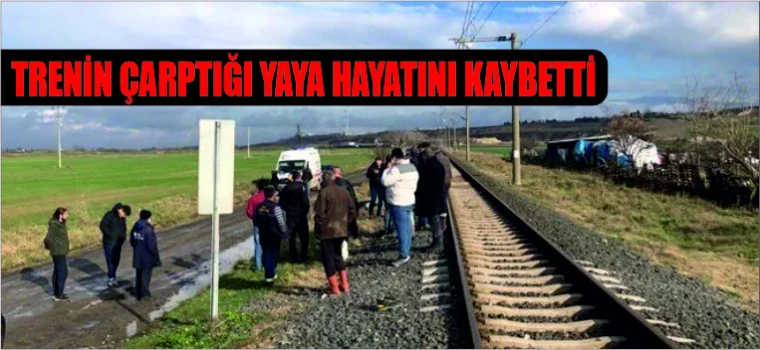 Tekirdağ’da Tren Kazası: Bir Yaya Hayatını Kaybetti