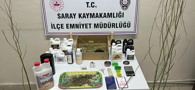 Saray’da Uyuşturucu Operasyonu: Silahlar ve Kenevir Ele Geçirildi