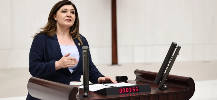 AHBAP-ÇAVUŞ DÜZENİNE SİNEMA KILIFI!