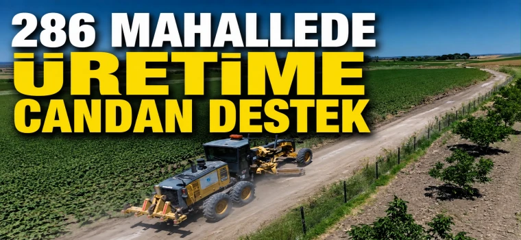 286 MAHALLEDE TARLA YOLLARI HASADA HAZIR