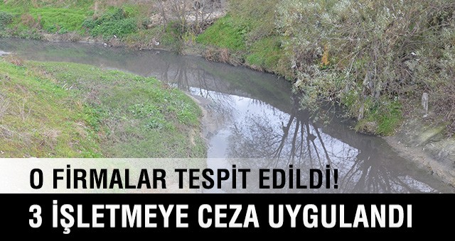 DEREYİ KİRLETEN FİRMALAR TESPİT EDİLDİ