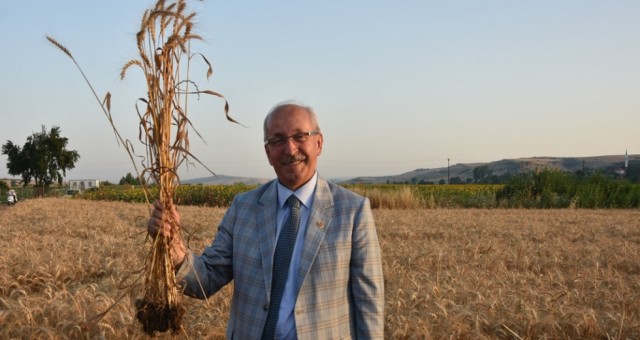 BAŞKAN ALBAYRAK: ÇİFTÇİLERİMİZE SAHİP ÇIKIYORUZ