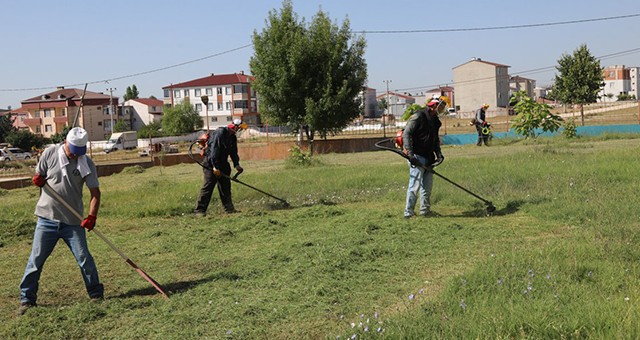 KAPAKLI’DA PARK VE BAHÇELER MÜDÜRLÜĞÜ’NÜN 1 AYLIK FAALİYETİ