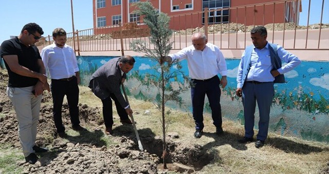 125 ADET ÇAM FİDANI TOPRAKLA BULUŞTU