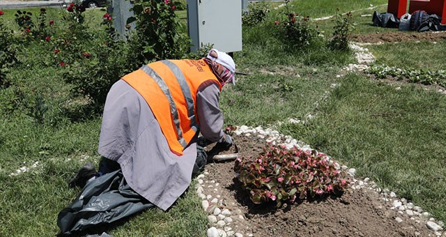 KAPAKLI’DA MEVSİMLİK ÇİÇEK DİKİMİ BAŞLADI