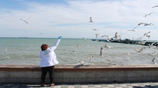 BALIKÇILAR KAPANDI AMA MARTILAR SAHİPSİZ KALMADI