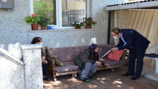 KAYMAKAMDAN KOCA ÇINARLARA ZİYARET