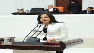 YÜCEER: “HAZİRAN AYININ İLK 10 GÜNÜNDE 10 KADIN ÖLDÜRÜLDÜ”