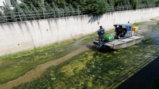 SİVRİSİNEK MÜCADELESİ KESİNTİSİZ SÜRÜYOR