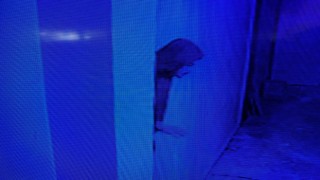 KABLO HIRSIZLARI YAKALANDI