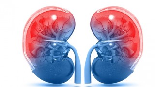 TÜRKİYE’DE HER 6-7 KİŞİDEN BİRİNDE BU HASTALIK GÖRÜLÜYOR